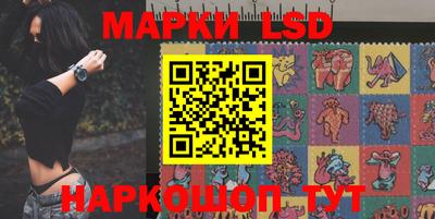 стафф Славгород