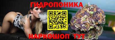 ГАЛЛЮЦИНОГЕННЫЕ ГРИБЫ Сланцы